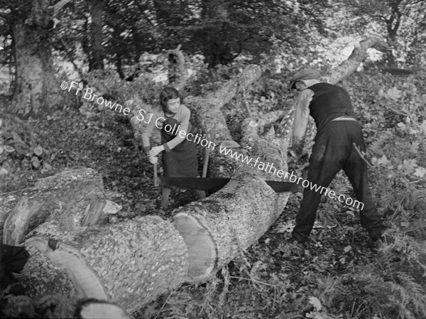 MAN AND WOMAN SAWIND TREE IN FORREST